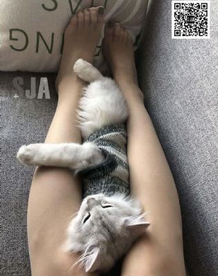 婷婷色五月天_1080神马影院手机在线