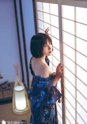 欧美成人卡通动漫3d_DVD在线视频观看